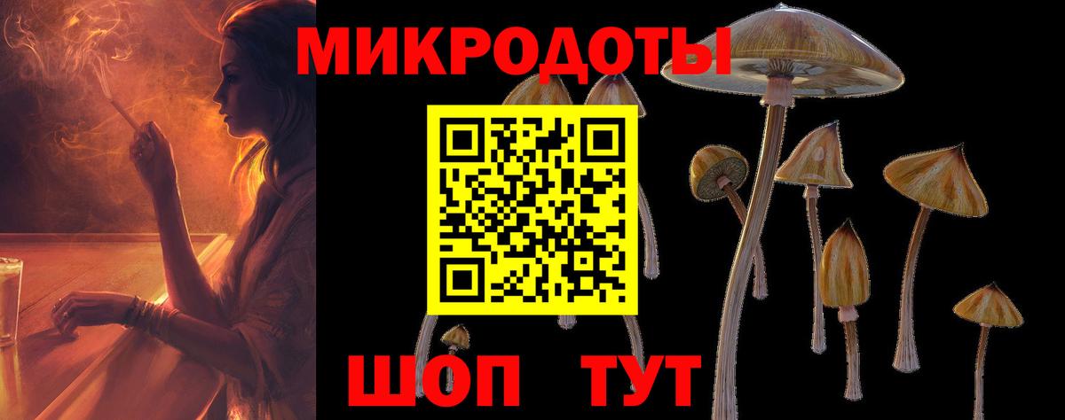 Галлюциногенные грибы мицелий  Псилоцибиновые грибы прущие грибы  купить наркоту  Вход с VPN  Муравленко 