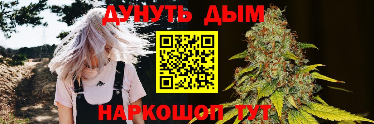 Бошки Шишки индика  Бошки марихуана Bruce Banner  Вход с VPN  Бошки марихуана план  Муравленко  Шишки марихуана план 
